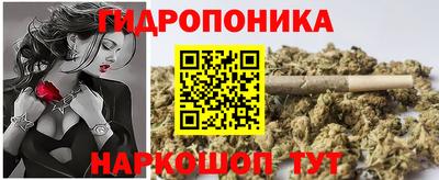 молекула духа Бийск