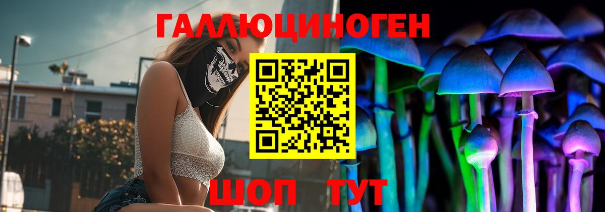 Галлюциногенные грибы MAGIC MUSHROOMS  Вход с VPN  Кольчугино 